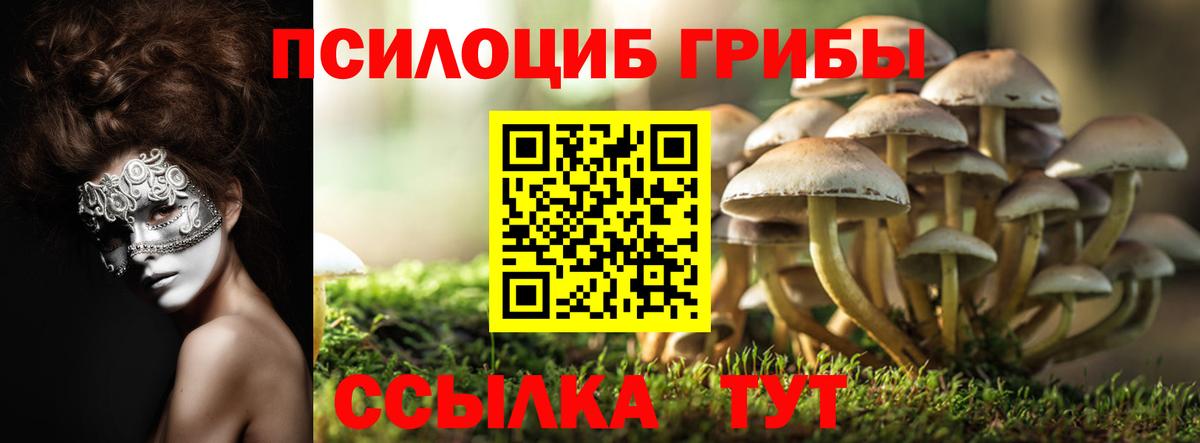 ГАШ Вязьма
